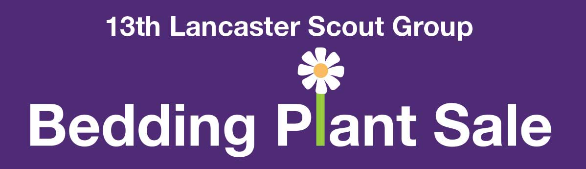 Scout plant sale 2016